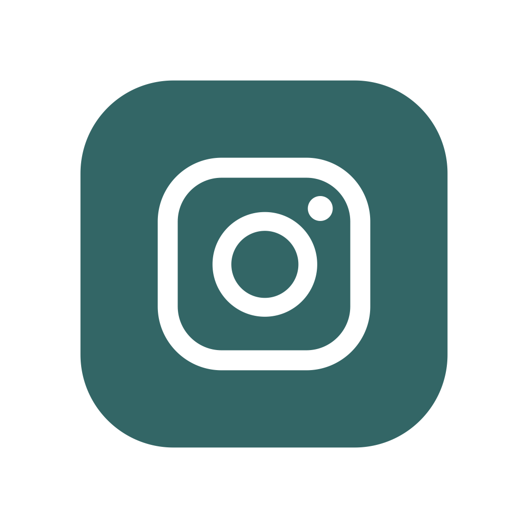 Social Icon 2