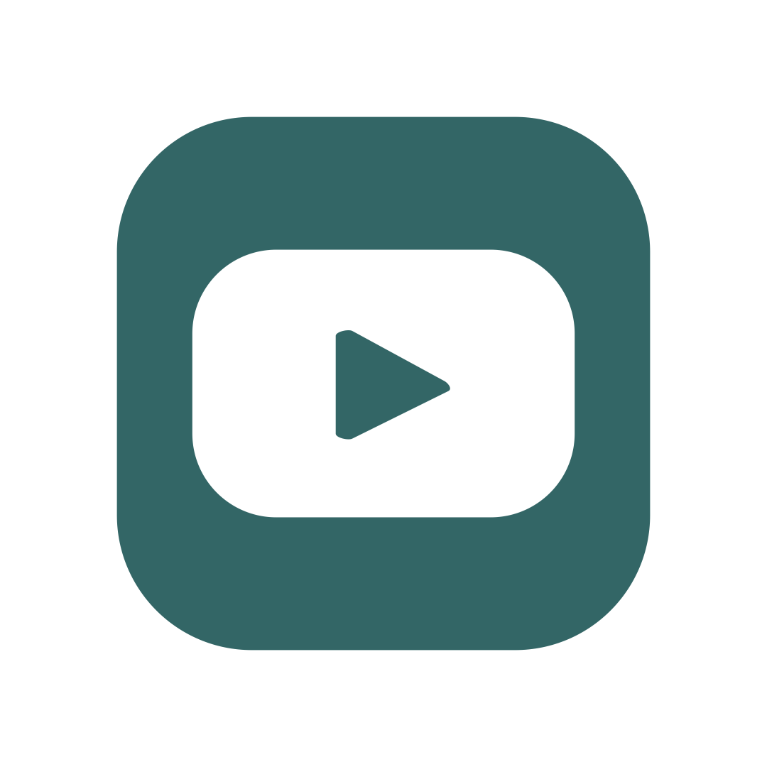 Social Icon 4